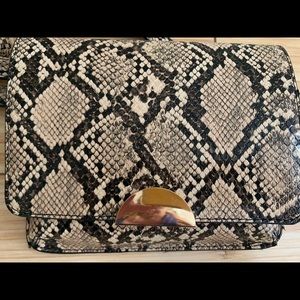 Snakeskin Fanny pak